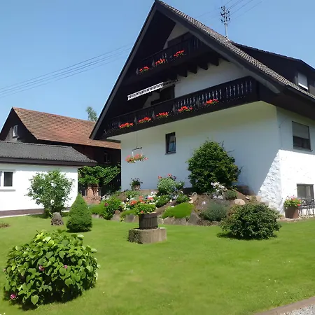 Ferienapartment Karle Lejlighed Nordrach