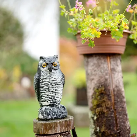 Ferienapartment Karle * Nordrach